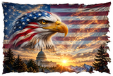 American Flag Eagle head with white house decal
